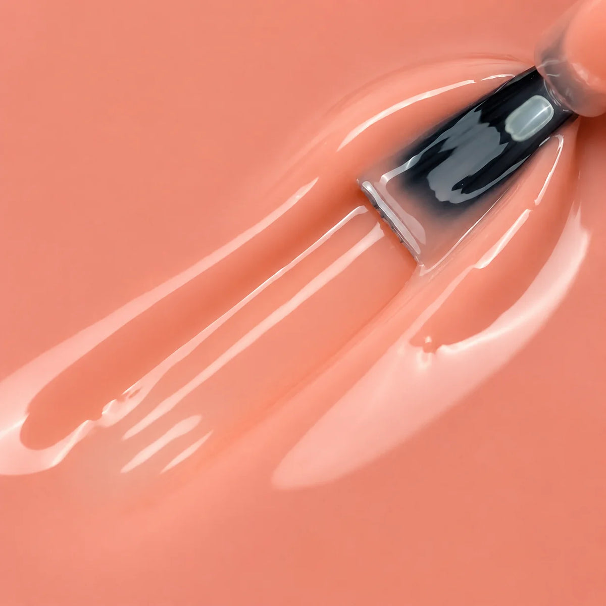 PALOMA LIQUID GEL 15ML JAR