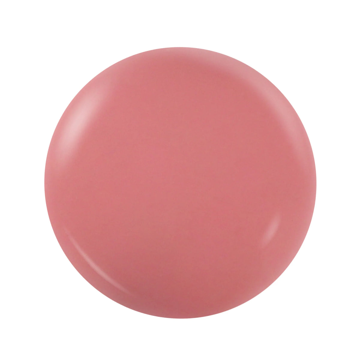 M122 - TAN LINES 2 IN 1 POWDER