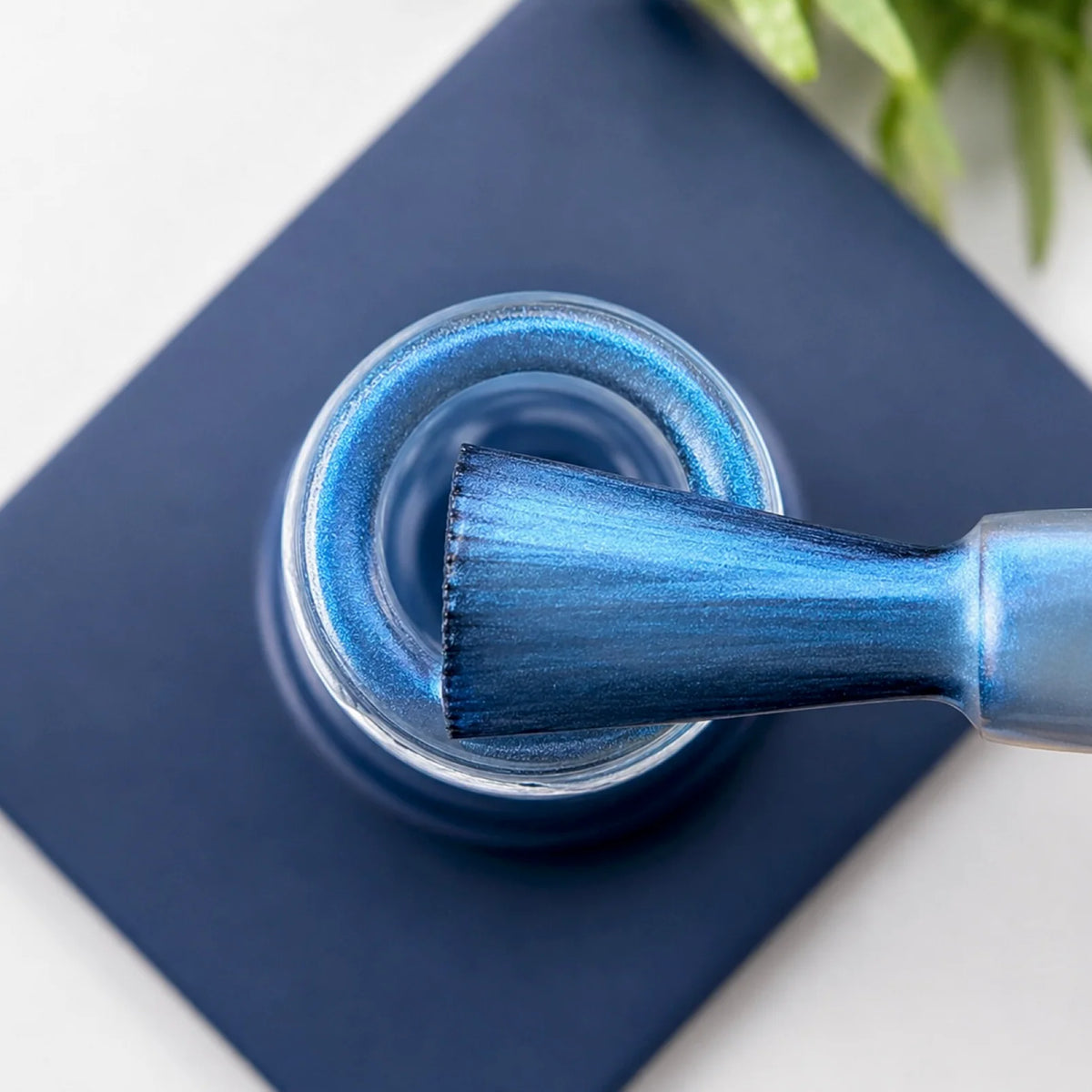 PALOMA MAGIC TOPCOAT