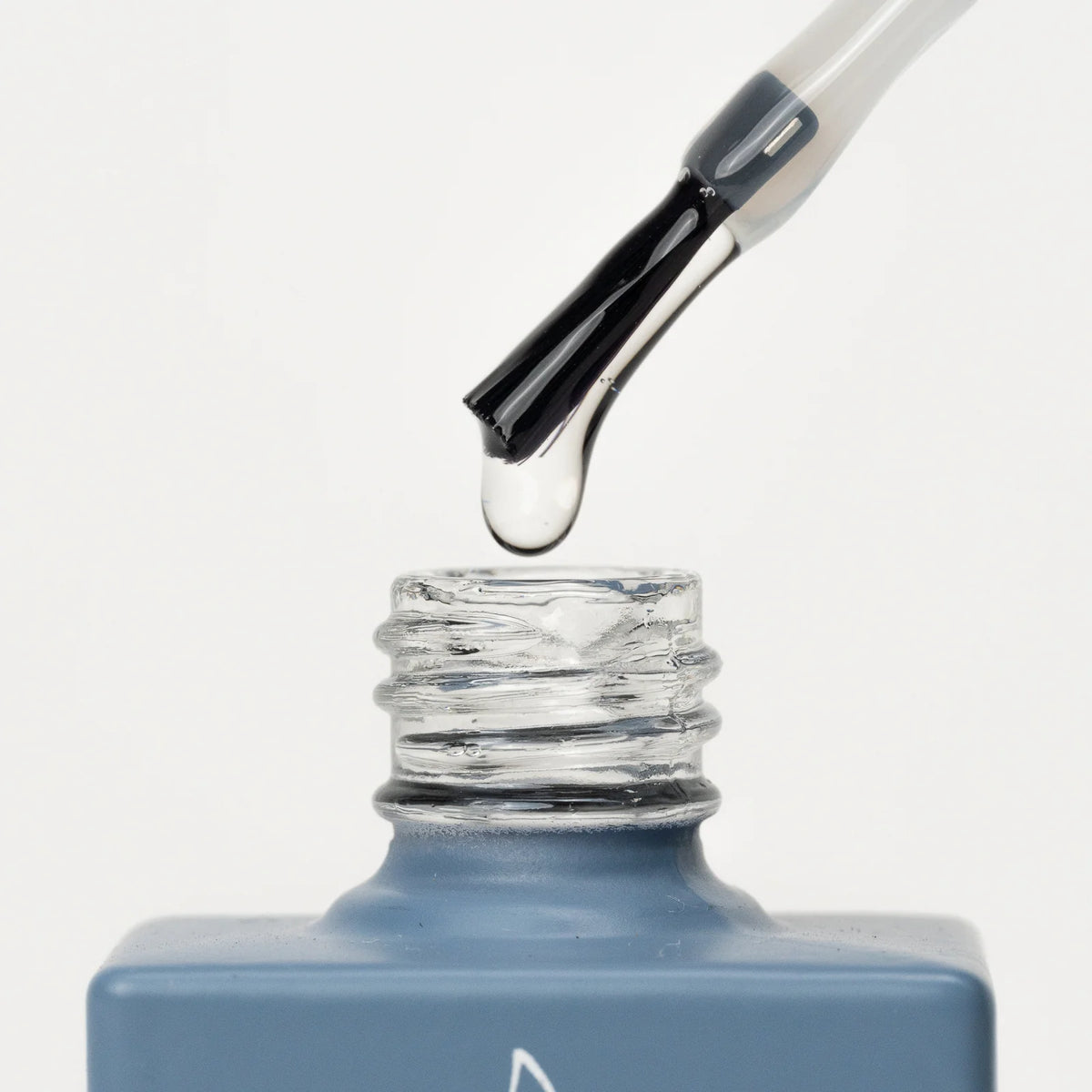 PALOMA STRONG BASE CLEAR